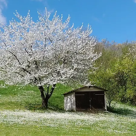 Διαμέρισμα Cosy Sur Les Coteaux - A 10 Min De Saint-emilion